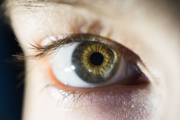 istock Macro Of Green Female Eye Iris Looking At Camera 947821116