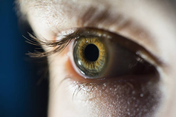 istock Macro Of Green Female Eye Iris 947821144
