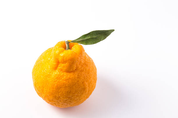 istock Oranges Jeju island, South Korea. 947830182