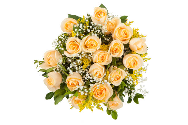 istock rose bouquet isolated on white background 947831282