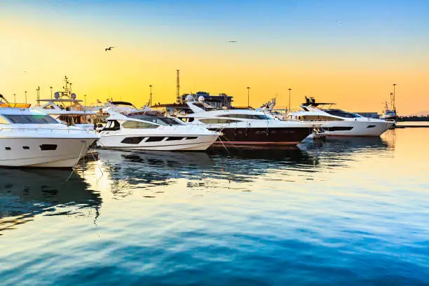 Photo of Luxury yachts docked in sea port at sunset.