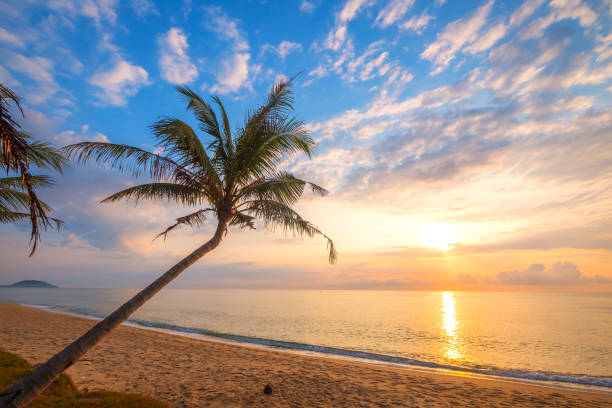 istock tropical beach in sunrise 947844398
