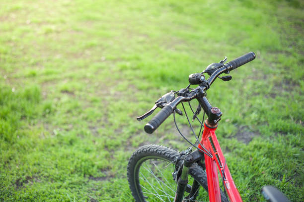istock Mountain bike on the green grass 947848710