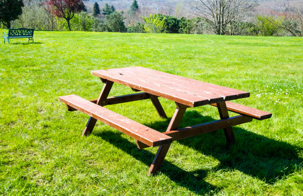 istock Wooden picnic table and bench in garden 947869116