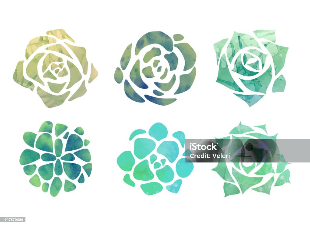 Set of watercolor succulents with a top view on a white background. Set of watercolor succulents with a top view on a white background. Vector element for your creativity Succulent Plant stock vector