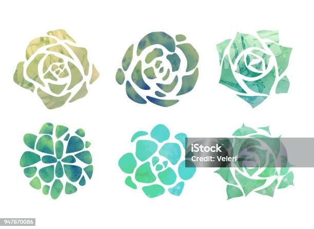 Set Of Watercolor Succulents With A Top View On A White Background Stock Illustration - Download Image Now