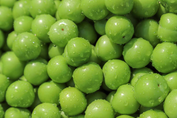 istock Fresh green plum and water drops 947880536