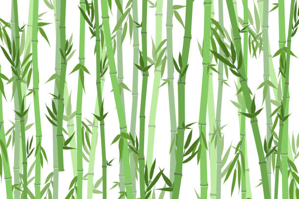 cartoon-bambus-wald landschaft hintergrund. vektor - seamless bamboo backgrounds textured stock-grafiken, -clipart, -cartoons und -symbole