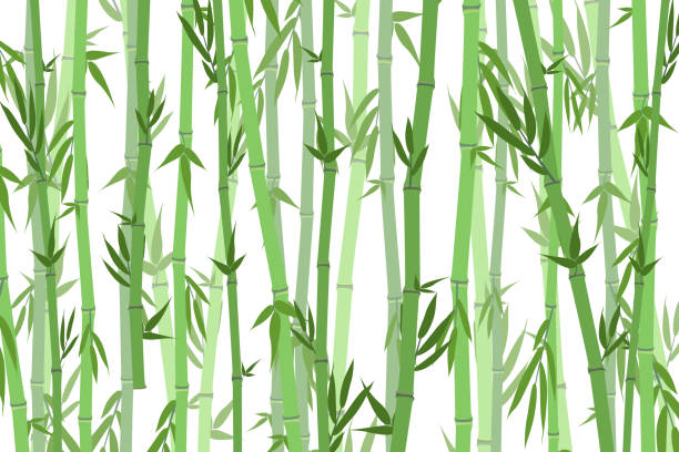 illustrations, cliparts, dessins animés et icônes de fond de paysage de forêt de bambous de dessin animé. vector - seamless bamboo backgrounds textured