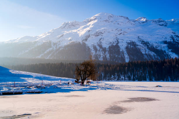 istock View of Alpine Valley in the morning at St. Moritz 947886110