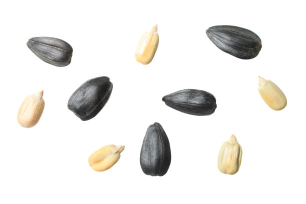 Peeled seeds and seeds in a shell
