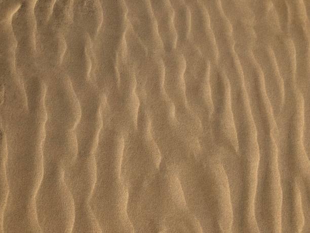 istock Wavy lines in the sand 947893424