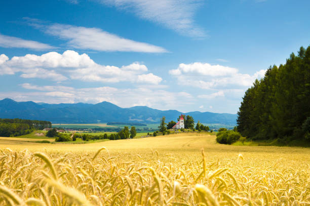 istock Rye field and chapel on the hill 947948842