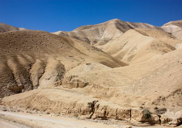 istock colors of Israel 947960440