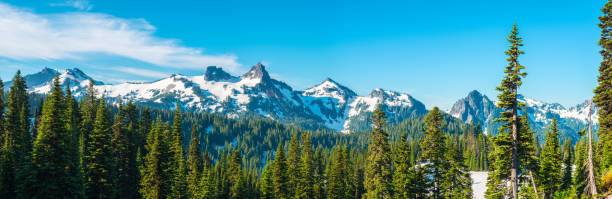 istock Paradise area at Mount Rainier National Park 947963024