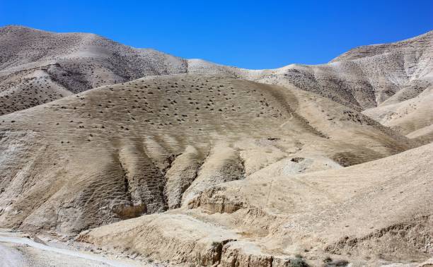 istock colors of Israel 947963170