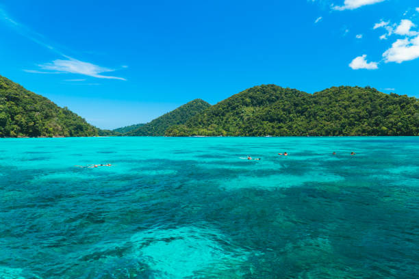 istock Tourists snorkeling at beautiful blue water 947963970