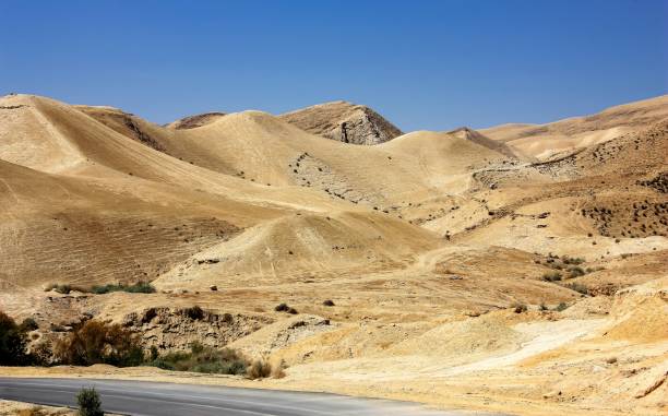 istock colors of Israel 947965744