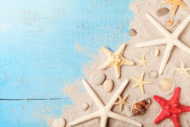 istock Summer travel background from seashell, starfish and sand on blue table top view. 947984612