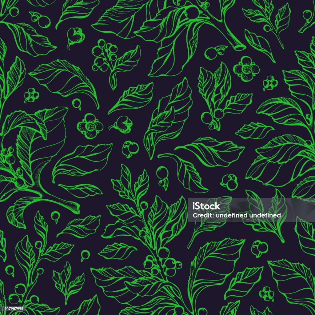 Mate Pattern Vector Pattern Of Hand Drawn Mate Branch Stock Illustration - Download ...