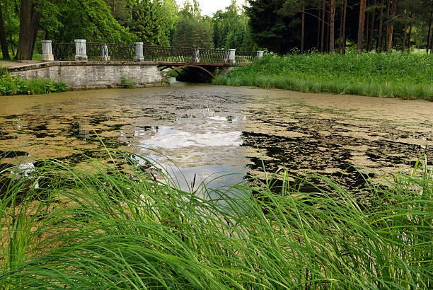 Footbridge over river Sozh in Gomel, Belarus