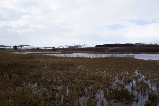 istock View across Kinnordy Loch in Winter 947996144