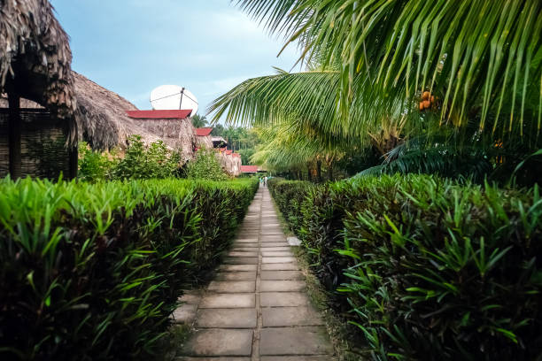 istock A bamboo house with a thatched roof 947998628
