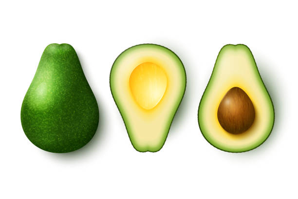 illustrazioni stock, clip art, cartoni animati e icone di tendenza di avocado isolato - avocado cross section vegetable seed