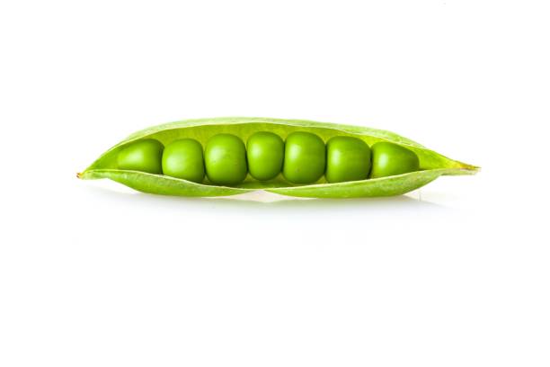 pea pod. - green pea pea pod vegetable freshness imagens e fotografias de stock