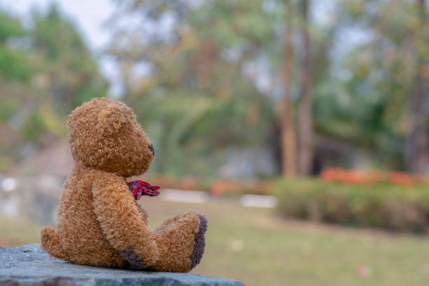 istock Teddy Bear Sit back on the rocks at  the park 948000118