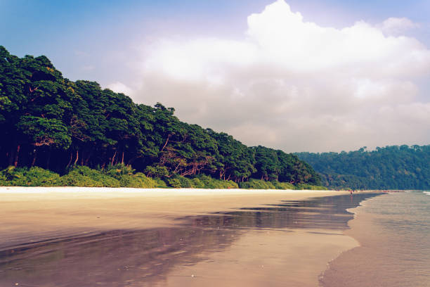 istock Radhanagar beach in Havelock Island, Andaman Island, India. 948013766