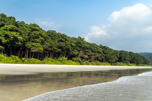 Stunning view of Radhanagar Beach on Havelock Island. Stunning view of Radhanagar Beach. Havelock Island is a beautiful small island belonging to the Indian Andaman Nicobar Islands. Paradise island in Southeast Asia. Reflection of trees in the sand andaman sea stock pictures, royalty-free photos & images