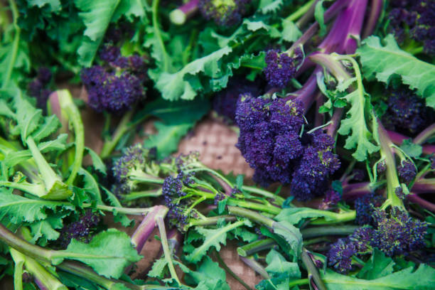 istock Farmer's market purple broccoli 948019546