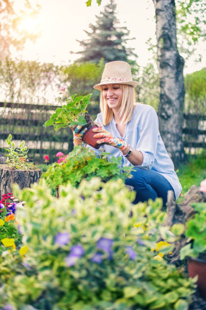 istock Woman planting flowers 948020276