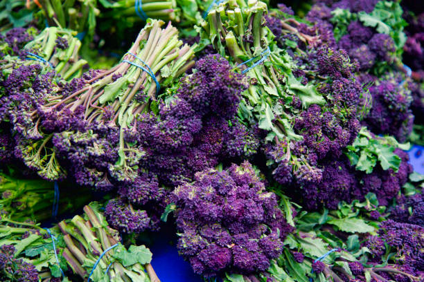 istock Farmer's market purple broccoli 948021566