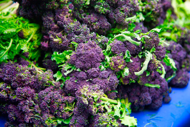 istock Farmer's market purple broccoli 948024102