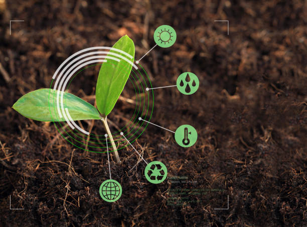 Young plant in focus on nature exploration