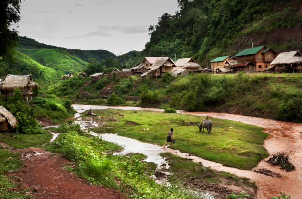 город хама. лаос - laos hut southeast asia shack стоковые фото и изображения