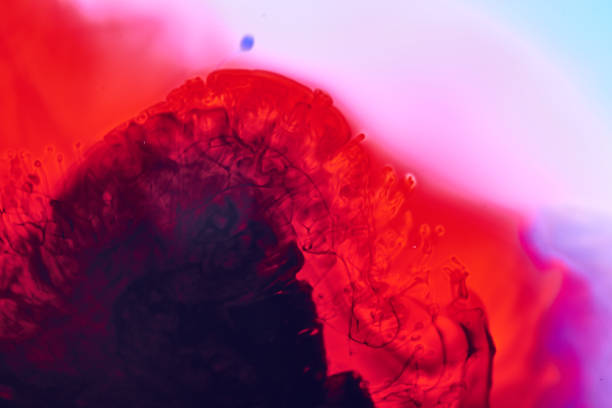 Blood splatters and drops isolated on a white background.