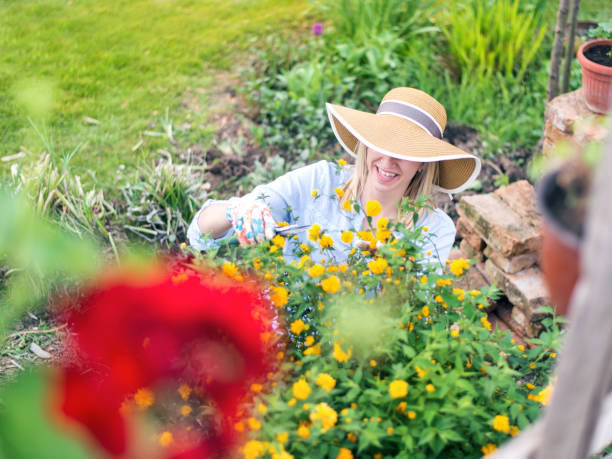 istock Woman planting flowers 948031054