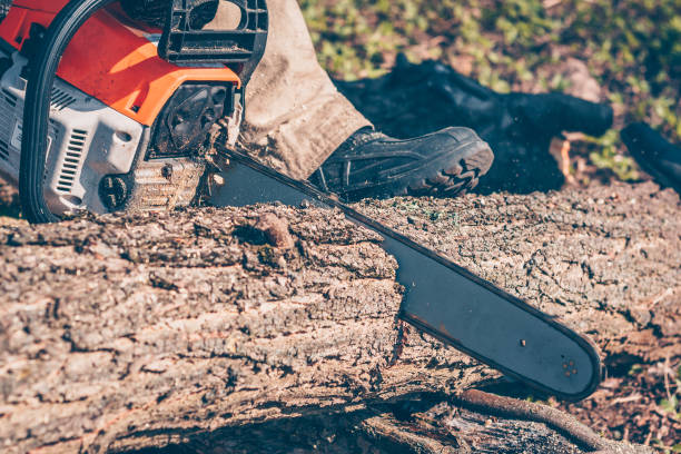 istock The worker saws the tree for firewood 948031870
