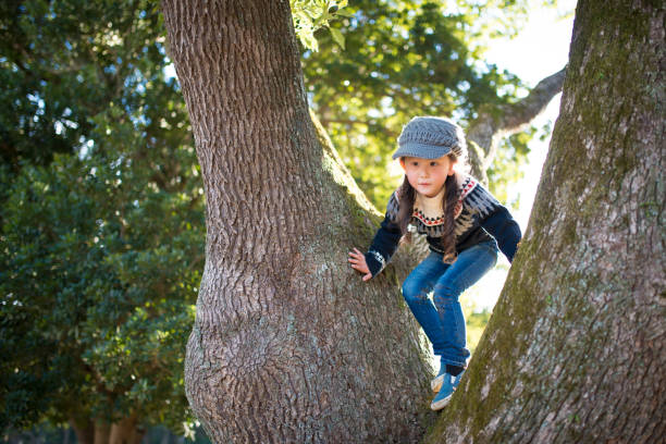 Little girl climbs the tree