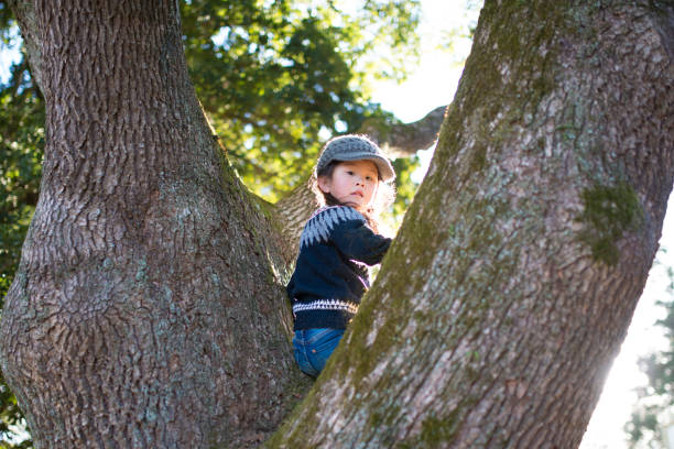 istock Little girl climbs the tree 948032444