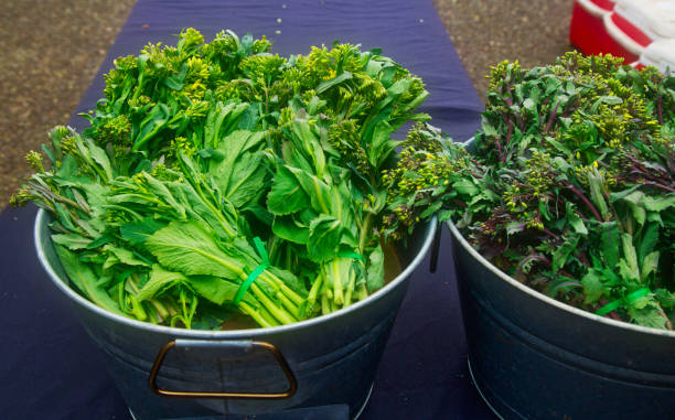 cubos de grelos o raab en el mercado - broccoli raab fotografías e imágenes de stock