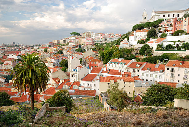 istock Cityscape of Lisbon with palm 94804284