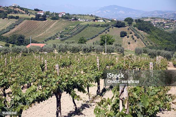 Winnica Wśród Hills - zdjęcia stockowe i więcej obrazów Abruzja - Abruzja, Winnica, Wino