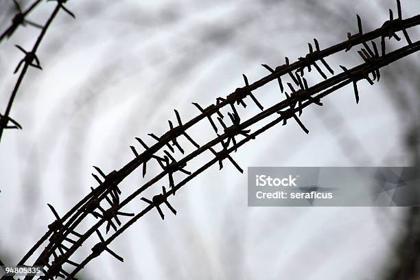 Incarcerazione - Fotografie stock e altre immagini di Affilato - Affilato, Appuntito, Campo di concentramento