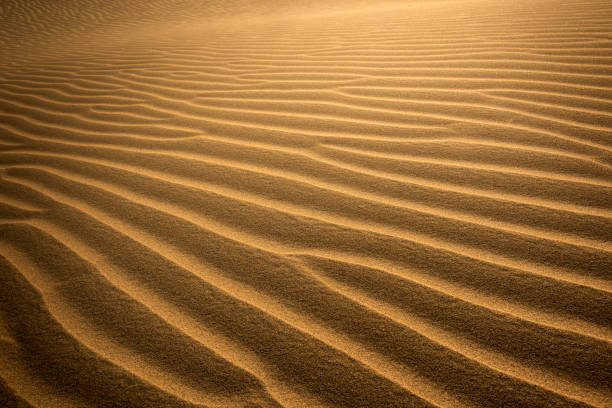 Textured lines in the sand. Bright orange in color. Abstract Background / Copy space