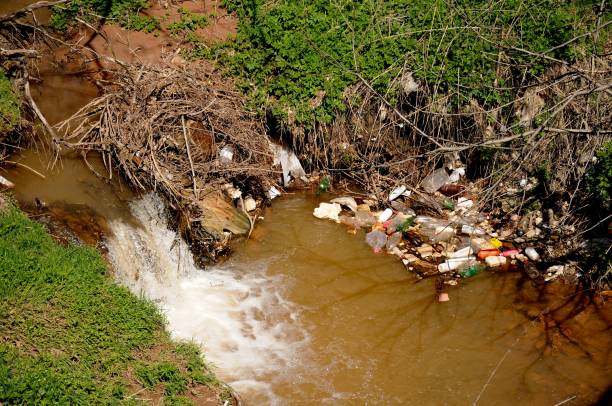istock beautiful little river with foliage and plastic bottles and garbage thrown by people, in countryside, pollution of nature and water, need to rise awareness of recycling 948068336