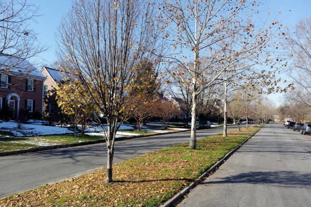 istock Neighborhood Median 948069790